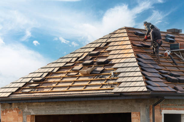 Best Roof Maintenance and Cleaning  in North Druid Hills, GA